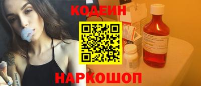 индика Гусев