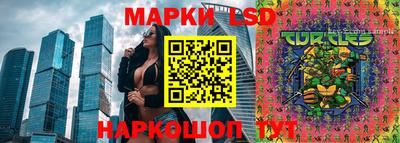 индика Гусев