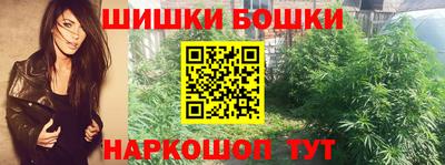 индика Гусев