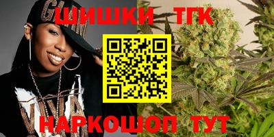 индика Гусев