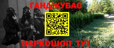 индика Гатчина