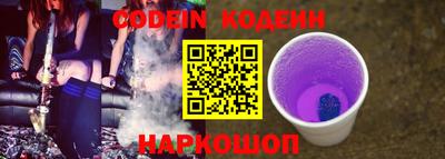 индика Гусев
