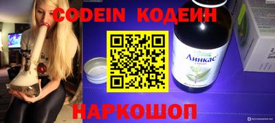индика Гусев