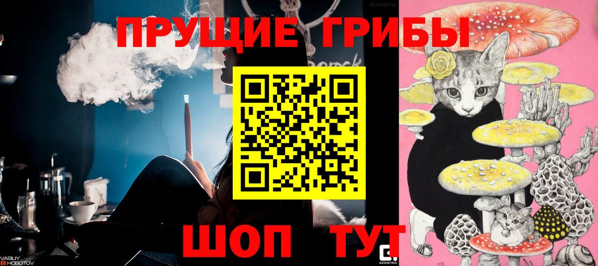 Галлюциногенные грибы мицелий  Вход с VPN  купить наркотики цена  Ливны 