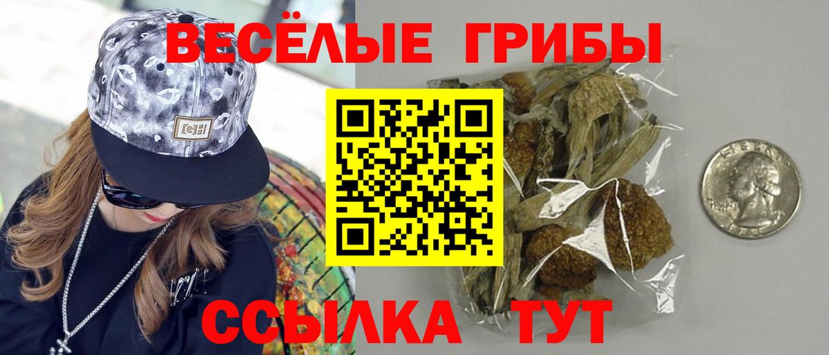 Псилоцибиновые грибы MAGIC MUSHROOMS Ливны